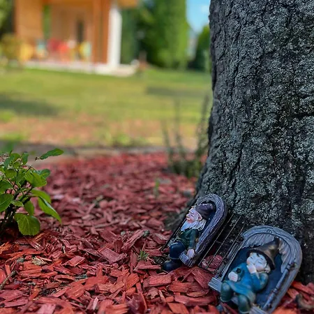 Nefelejcs-el Vendeghaz *