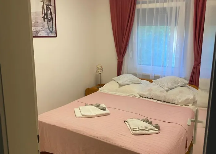 Nefelejcs-el Vendeghaz Dom wakacyjny *