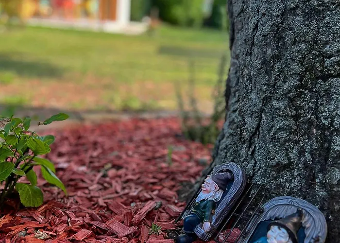 Nefelejcs-el Vendeghaz *